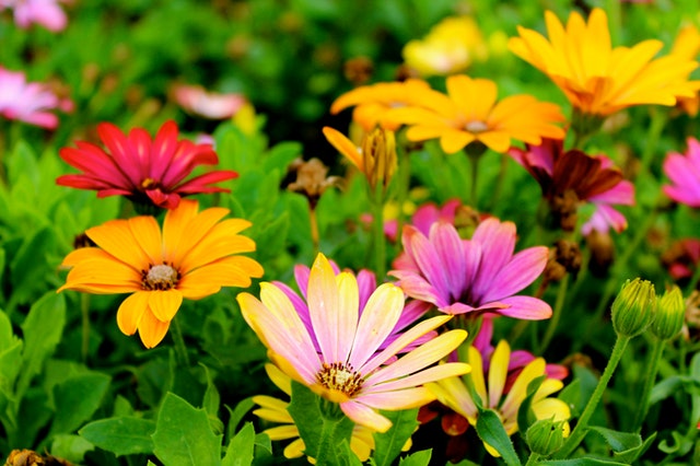 Generic placeholder image